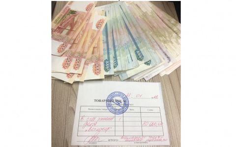 В Кирове волонтеры за два часа собрали 80 тысяч рублей на лечение животных