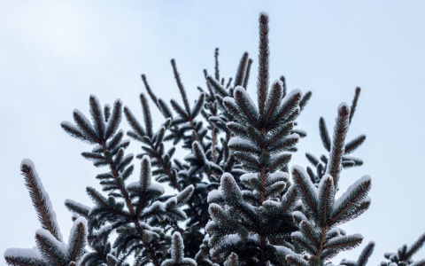 В МЧС рассказали, какой будет погода в Кировской области в пятницу