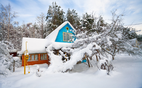 Готовиться к дачному сезону можно уже зимой