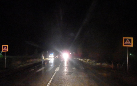 Вынесли приговор виновнику ДТП, который насмерть сбил двух человек под Чепецком