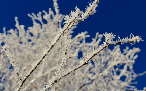МЧС предупреждает о морозе в Кировской области до -30