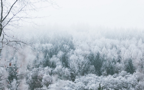 Прогноз от МЧС: в Кировской области ожидается мороз до -31