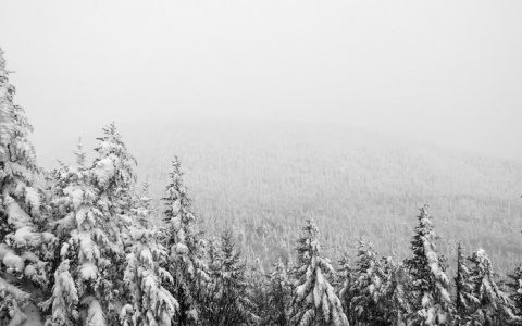 В ближайшие дни на Кировскую область обрушатся сильные снегопады