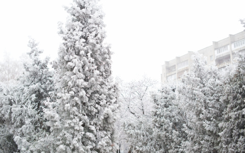 На неделе в Кирове прогнозируют мороз до -19