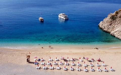 Роспотребнадзор предупреждает туристов о вспышке сибирской язвы в Турции