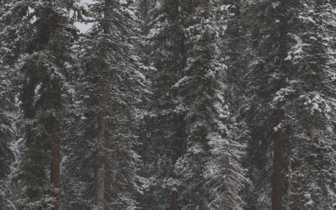 Прогноз от МЧС: какой будет погода в Кировской области в пятницу?