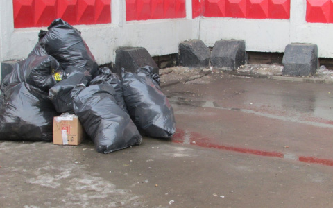 Эксперт по ЖКХ рассказал, что в Кирове вырастет плата за утилизацию мусора