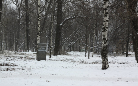 Кировчане составили список парков и скверов, которые необходимо благоустроить