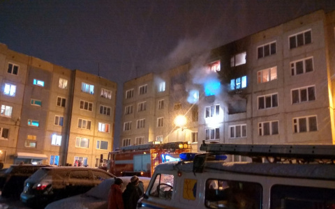 В Радужном в квартире в пожаре погиб кот