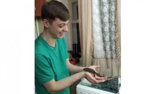 Чепчанин организовал дома приют для креветок, рыб и тритонов