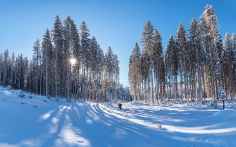 МЧС предупреждает о 32-градусном морозе в Кировской области