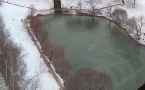 7 фейковых фото, которые получили большой резонанс в Кировской области