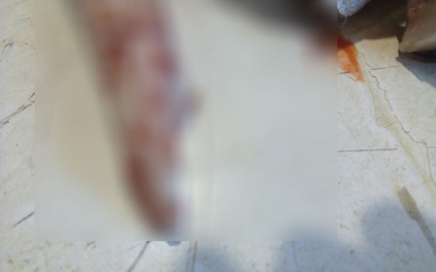 Кировчанка купила в магазине рыбу "с сюрпризом"