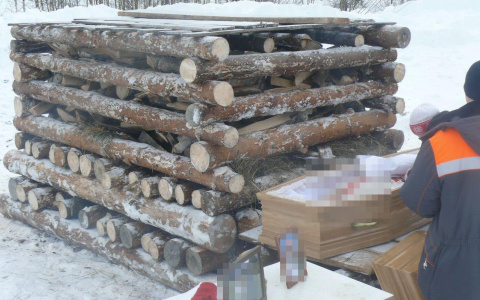 Юрист рассказал, как родственников могут наказать за сожжение тела в Кировской области