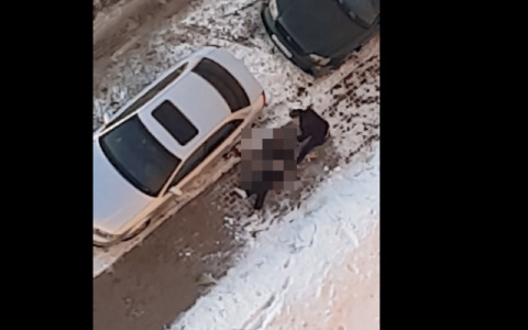 Что обсуждают в Кирове: гибель 22-летнего парня и поиск пропавшего мальчика