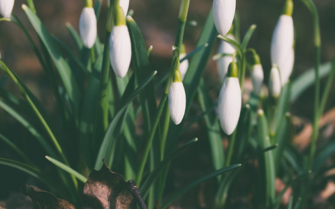 Вторая декада марта в Кировской области будет холоднее нормы