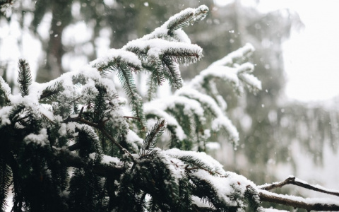 В МЧС рассказали о погоде в Кировской области в среду