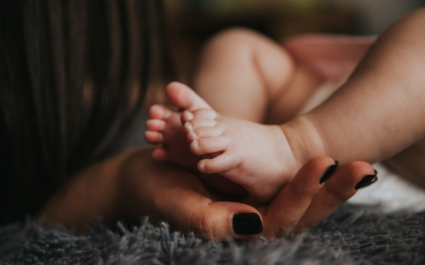 Стало известно, в каких детских садах Кирова появятся группы для грудничков