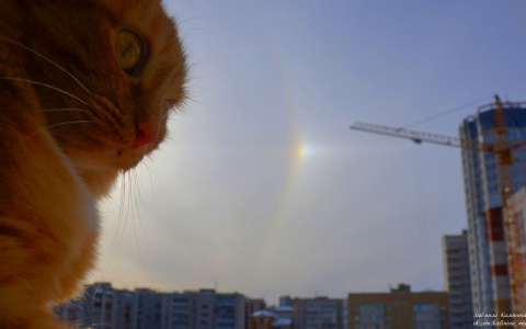 Кировчане наблюдали редкое и сложное природное явление