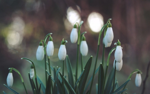 Прогноз погоды: какими будут выходные в Кирове?