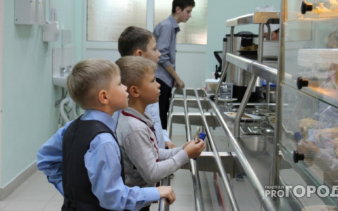 Чиновники присвоили 9 миллионов, выделенные на питание детей в кировских школах и садах