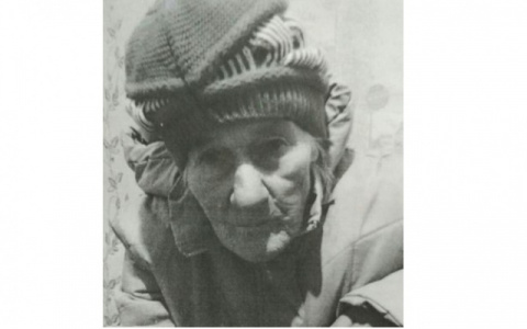 В Кирове пропавшую 14 марта бабушку сняли камеры видеонаблюдения