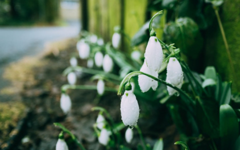 Синоптики рассказали, когда в Кировскую область придет метеорологическая весна