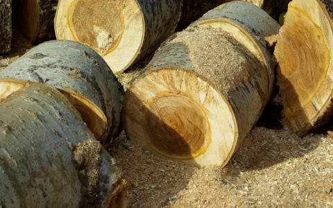 В Кировской области кочегара на работе придавило бревнами