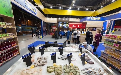 В Кирове на месте "Простора" может появиться гипермаркет "Лента"