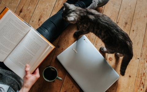 Календарь выходных: сколько дней продлятся майские праздники 2018