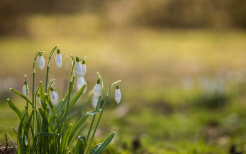 Метеоролог рассказал, каким будет апрель в Кировской области