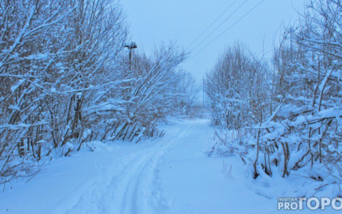 Женщина через лес сбежала из Кировской области, чтобы скрыться от полиции