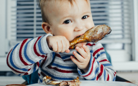 Как выбрать вкусную и полезную курицу для ребенка?