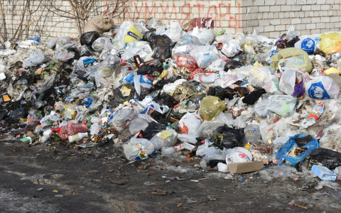 В Кирове убрали 50-метровую свалку, растянувшуюся вдоль дороги