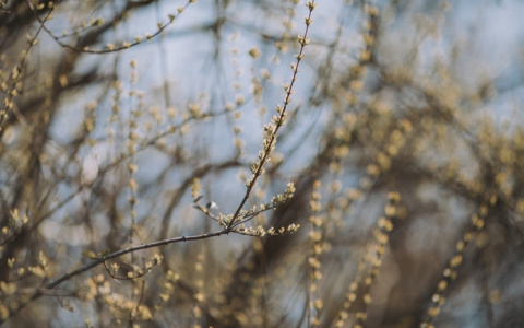 Прогноз погоды: какими будут выходные в Кирове?