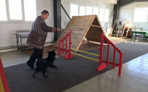 Ванечка, Ежик, Бим, Цыпа и Эй: в Кирове готовят собак для работы с детьми-инвалидами