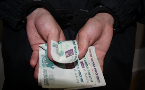 Парочка, представившись журналистами, похитила у кировчанки крупную сумму денег