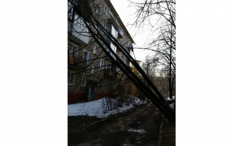 В Кирове ветер повалил деревья на дома и сорвал крышу с остановки