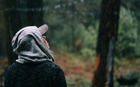 Прогноз погоды: МЧС сообщает о дождях в Кировской области в четверг