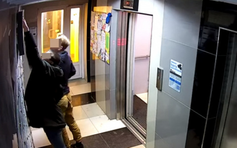 Вандалы, громившие подъезды на Заводской, готовы возместить ущерб