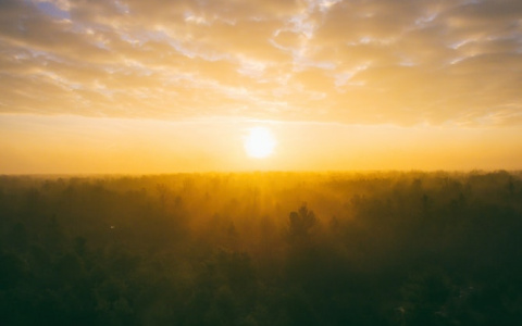 Прогноз погоды: какими будут выходные в Кирове?