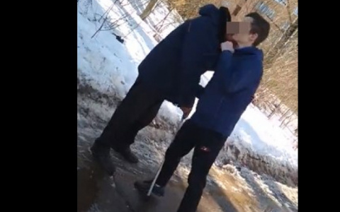 Депутат предложил снизить возраст уголовной ответственности из-за избиения инвалида в Чепецке