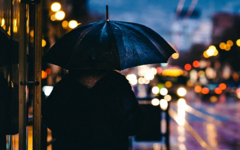 Гидрометцентр: предстоящая рабочая неделя в Кирове может стать дождливой