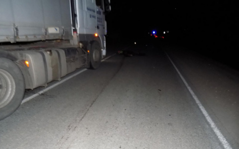 В Кировской области водитель грузовика насмерть сбил мужчину