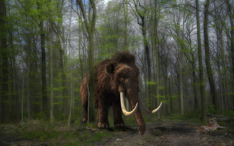 В Кирове хотят установить скульптуру мамонта