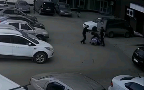 Что обсуждают в Кирове: огромная ядовитая змея и избиение таксиста на Калинина