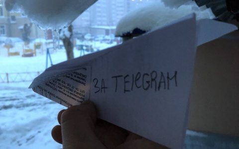Кировчане поддержали флешмоб в поддержку Telegram