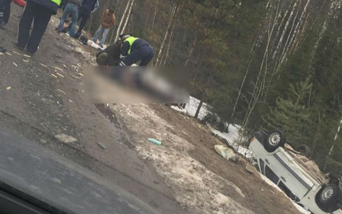 Под Нижне-Ивкино произошло смертельное ДТП