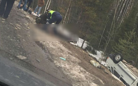 Что обсуждают в Кирове: падение детей из окна и смертельное ДТП