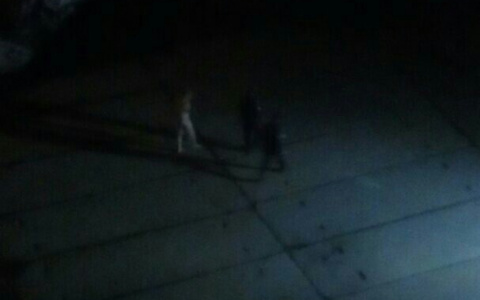 В Кирове сотрудники Росгвардии задержали на улице голого мужчину